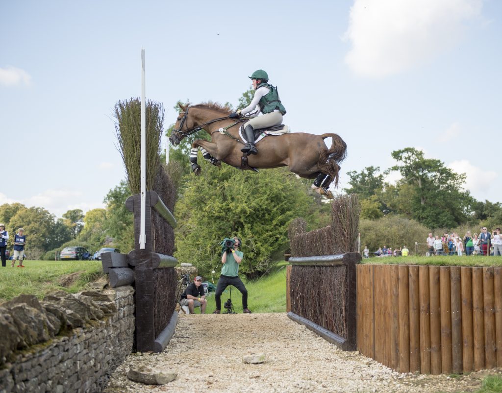 An Irish-bred horse jumping a cross-country fence